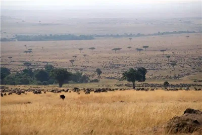 Tengeri áruszállítás Kínából Szomáliába